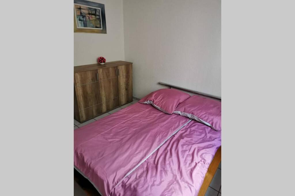 Ferienwohnung In Singen Am Hohentwiel - Seenah ภายนอก รูปภาพ