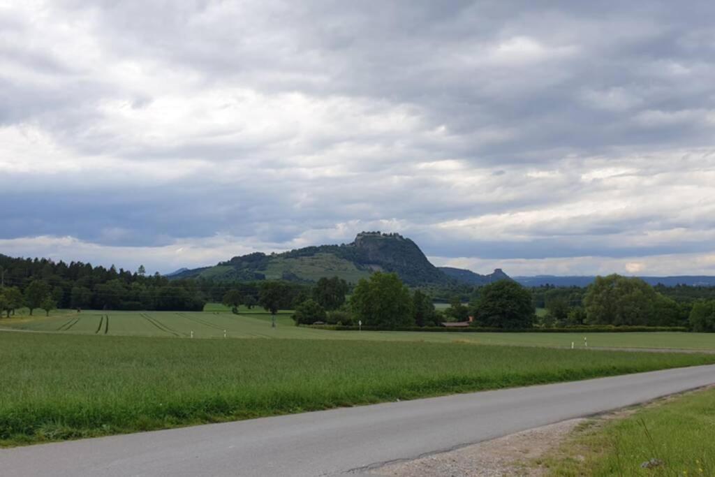 Ferienwohnung In Singen Am Hohentwiel - Seenah ภายนอก รูปภาพ