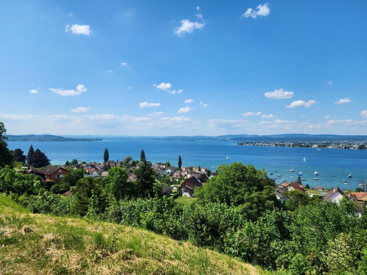 Ferienwohnung In Singen Am Hohentwiel - Seenah ภายนอก รูปภาพ