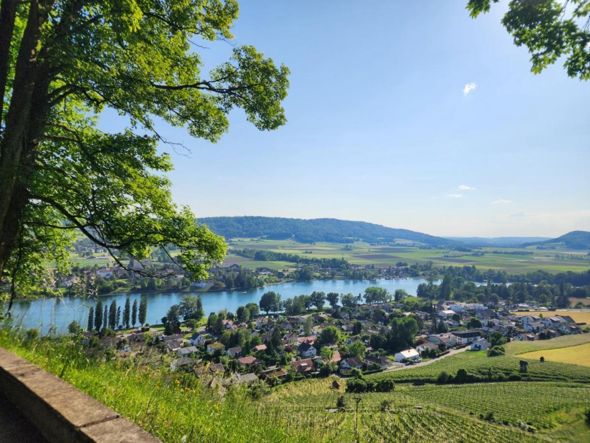 Ferienwohnung In Singen Am Hohentwiel - Seenah ภายนอก รูปภาพ